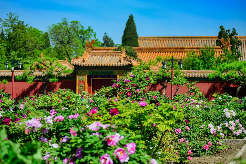5_Jingshan Park