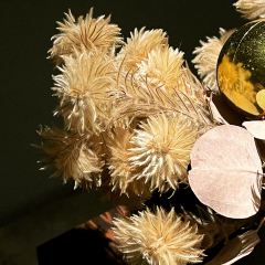 之間茶食器張用戶圖片