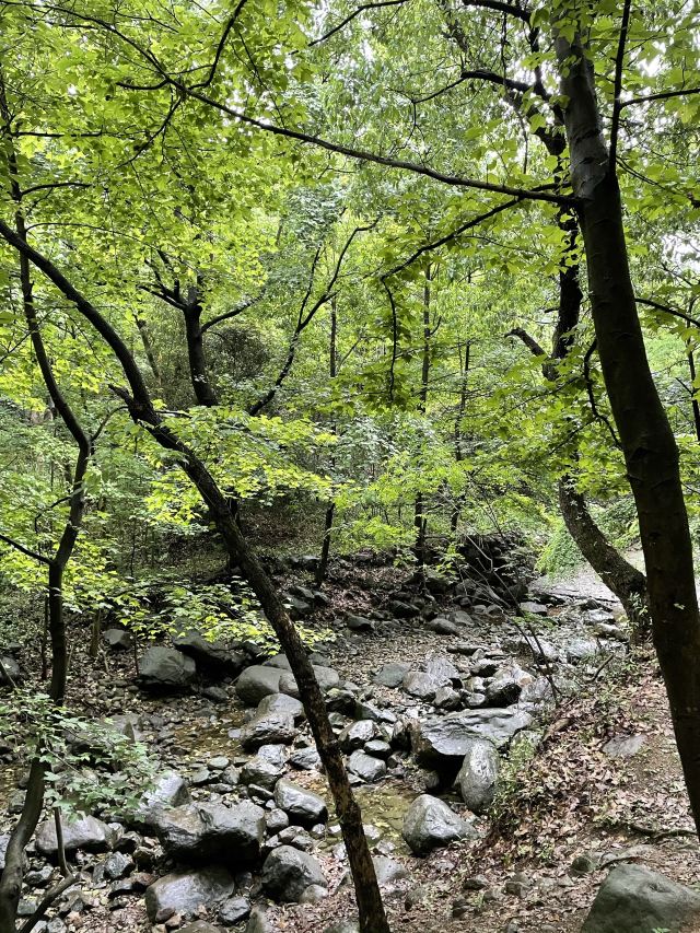 다치산 국립삼림공원