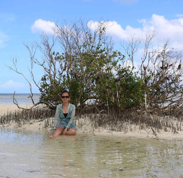 A fun in the sandbar