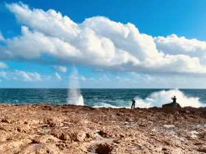 Quobba Blow Holes