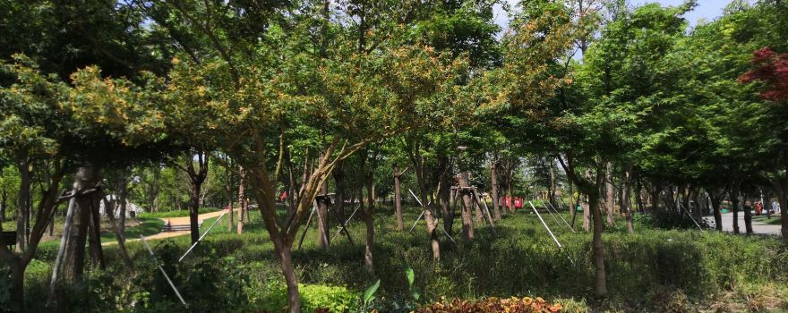 Changshou Park