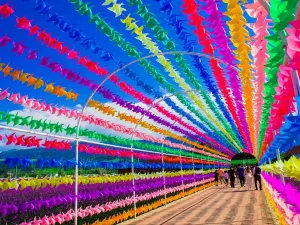 Flower Sea Nalat
