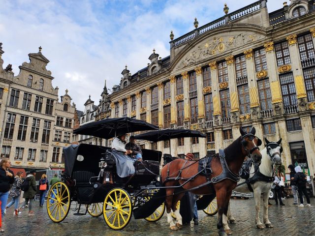 Royal Square
