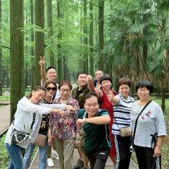 Tian Tian Nong Jia Le ảnh của người dùng
