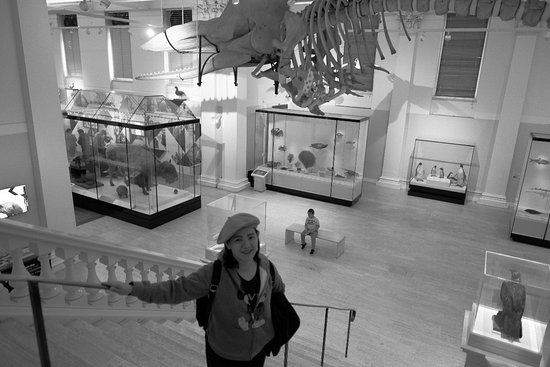 Western Australian Museum-Perth