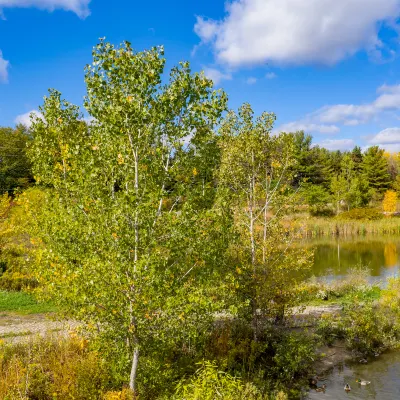 Отели в районе Zhangye West Railway Station