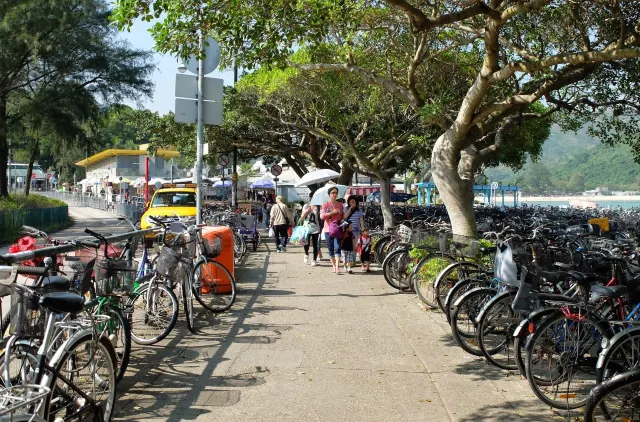 【梅窩一日遊2025】下個假期去梅窩慢活，必睇最新梅窩景點、美食、交通等梅窩行程攻略