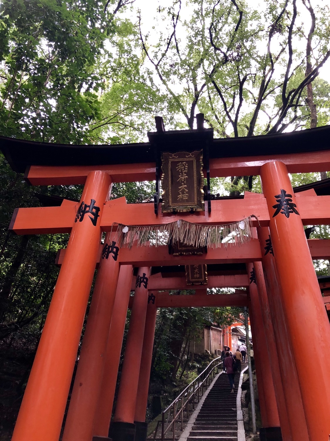 千本鳥居旅遊攻略指南 千本鳥居評論 千本鳥居附近推薦 Trip Com 千本鳥居旅遊攻略指南 千本鳥居評論 千本鳥居附近推薦 Trip Com