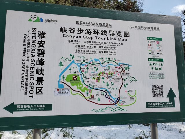 Bifengxia Giant Panda Base