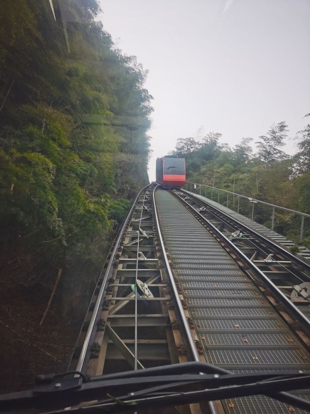 Nanshan Bamboo Sea