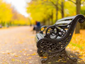 The Regent's Park