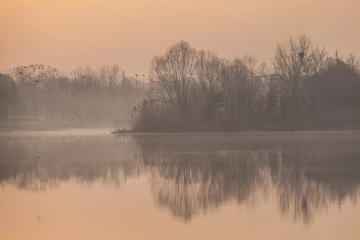 4_西安滻灞國家濕地公園