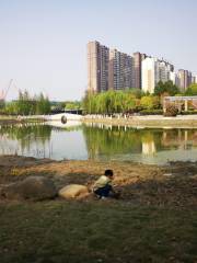 Wangjiang Park