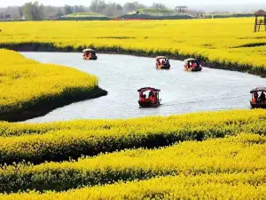 高郵·湖上花海