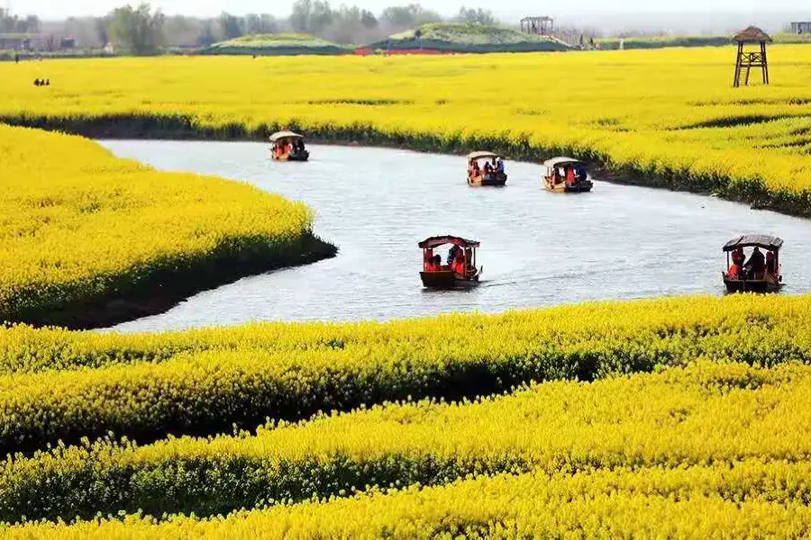 高郵·湖上花海