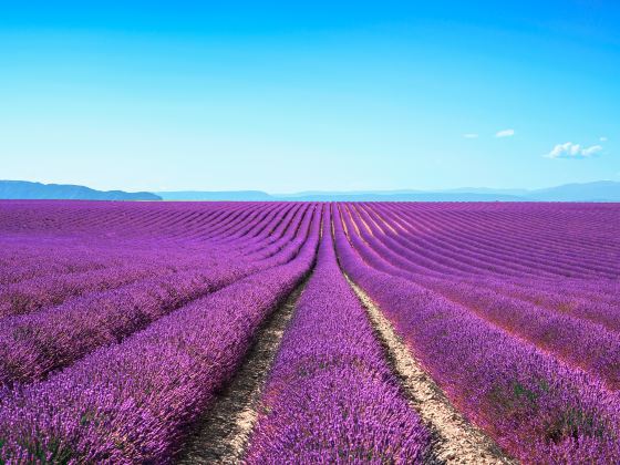 Provence