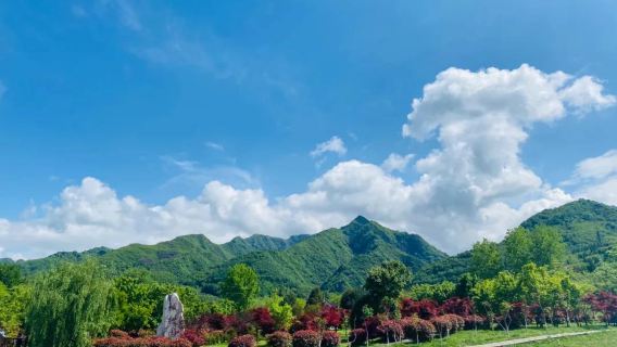 Qinling National Botanical Garden