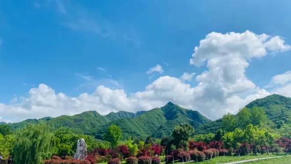 玩水避暑