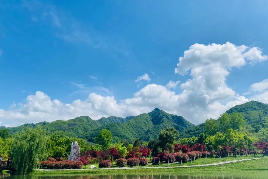 秦嶺國家植物園