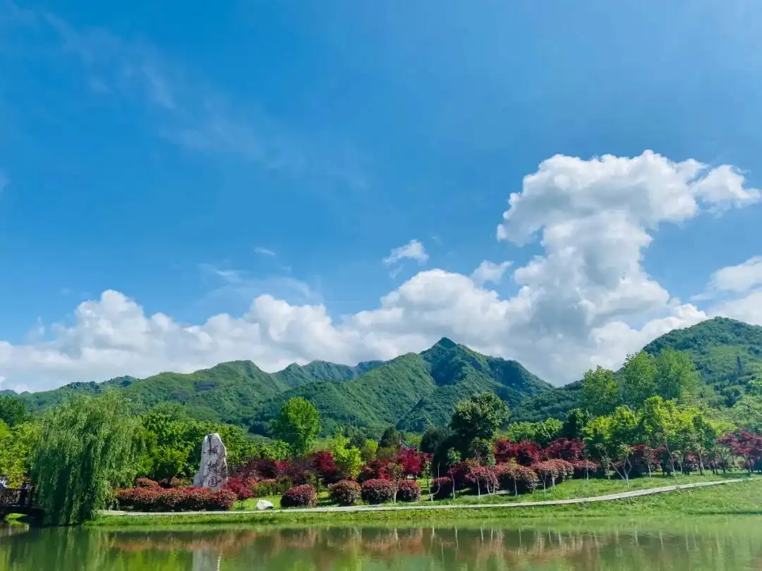 Hotel dekat Qinling National Botanical Garden