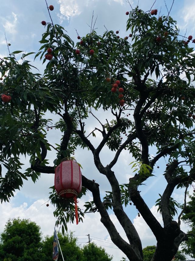 Yuyin Hill House