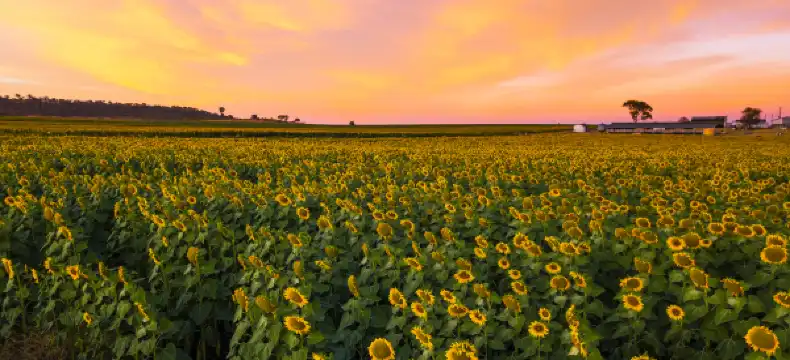 Khách sạn Comfort Inn tại Toowoomba