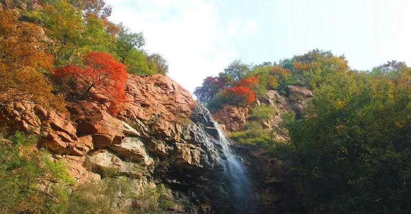 Fall Viewing Attractions
