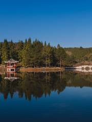 龍架山森林公園