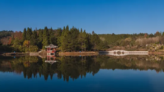 龍架山森林公園