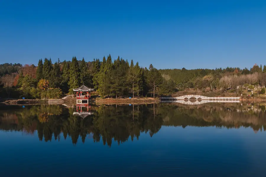 Longjiashan National Forest Park