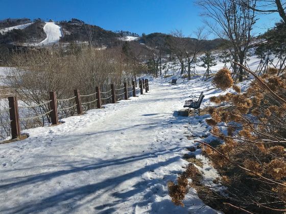 奧克瓦利滑雪場