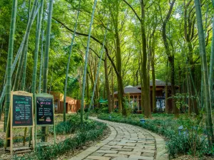 Tongli National Wetland Park