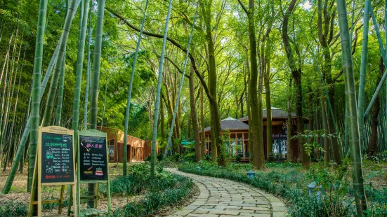 Tongli Wetland Park