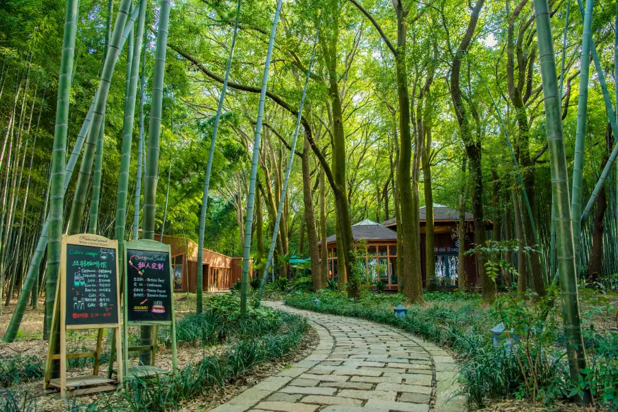 Tongli Wetland Park