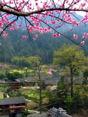 Qiaoliang Village