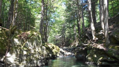 20 Foot Swimming Hole