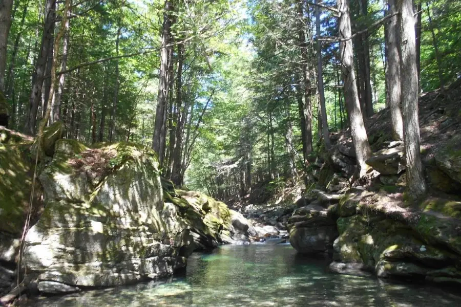 20 Foot Swimming Hole