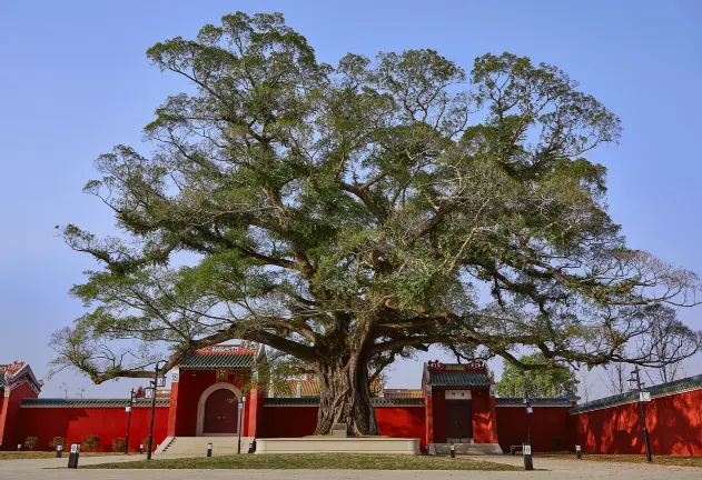 Отзывы об отеле Kyriad Marvelous Hotel (Hezhou Wanda Plaza)