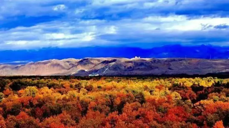 4_Shidiguyang Sceneic Area