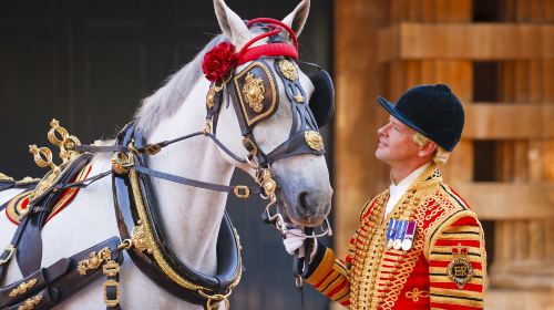 The Royal Mews, Buckingham Palace