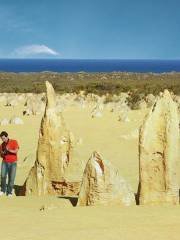 Vườn quốc gia Nambung