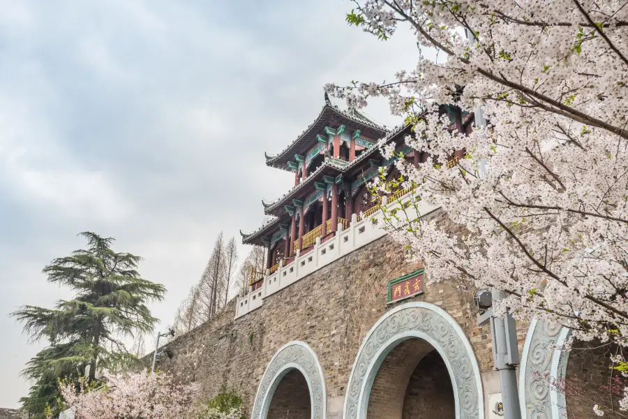 City Wall of Xuanwu Gate