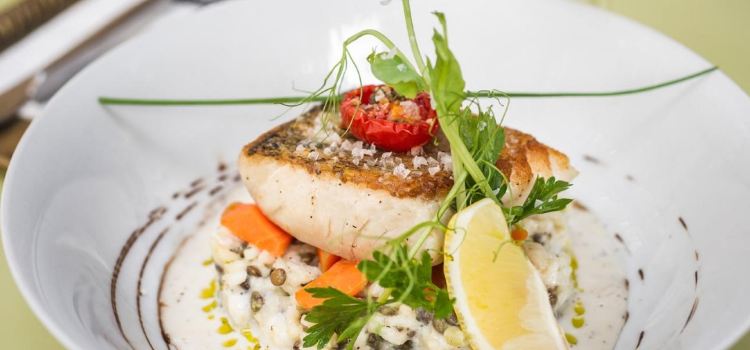 Gerloczy  CAFE & RESTAURANT