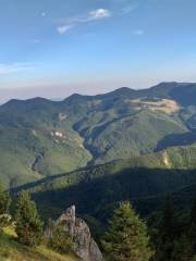 Naturpark Putna-Vrancea