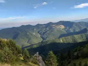 Naturpark Putna-Vrancea