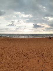 Thumba Arattuvazhi Beach(Golden beach thumba)