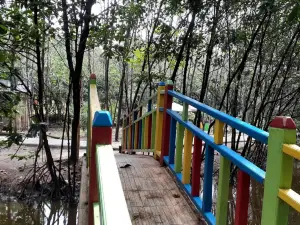 Hutan Mangrove Pantai Alam Indah Tegal
