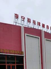 Lining Yumaoqiu Jianshen Club