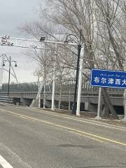 布林津西大橋